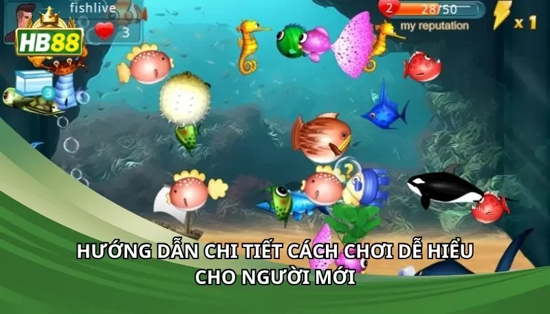 Hướng dẫn chi tiết cách chơi dễ hiểu cho người mới